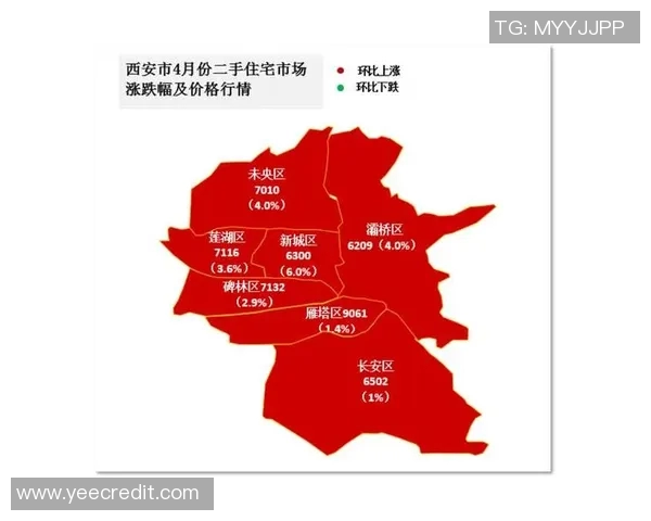 西安排球队状态全面对比分析及未来走势预测